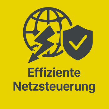 Effiziente Netzsteuerung