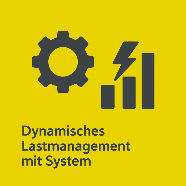 Dynamisches Lastmanagement Mit System