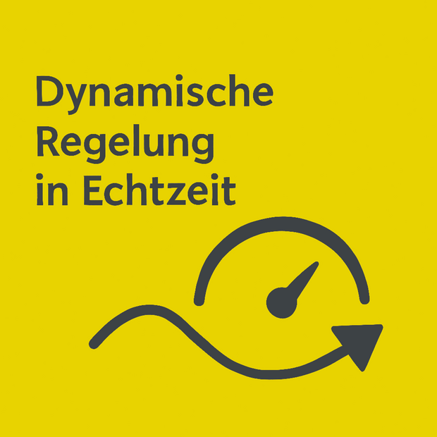 Dynamische Regelung
