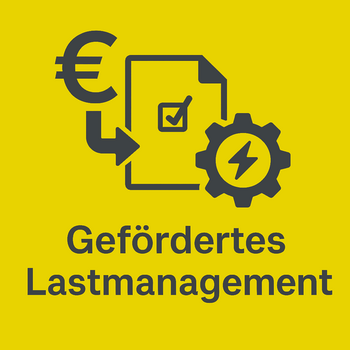 Gefördertes Lastmanagement