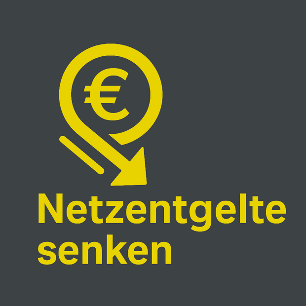 Netzentgelte Senken