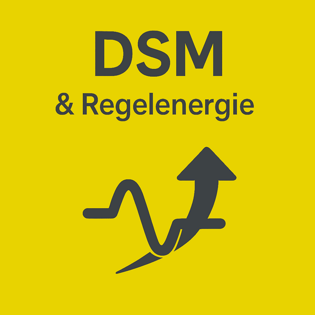 DSM Regelenergie Primaer