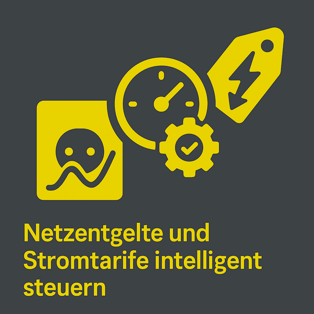 Netzentgelte Und Stromtarife Intelligent Steuern