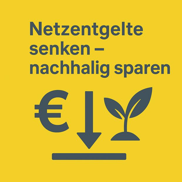 Netzentgelte Senken Nachhaltig Sparen Primaer