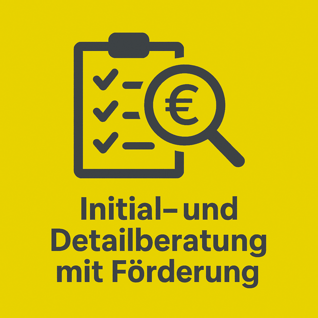 Initial Und Detailberatung Mit Förderung