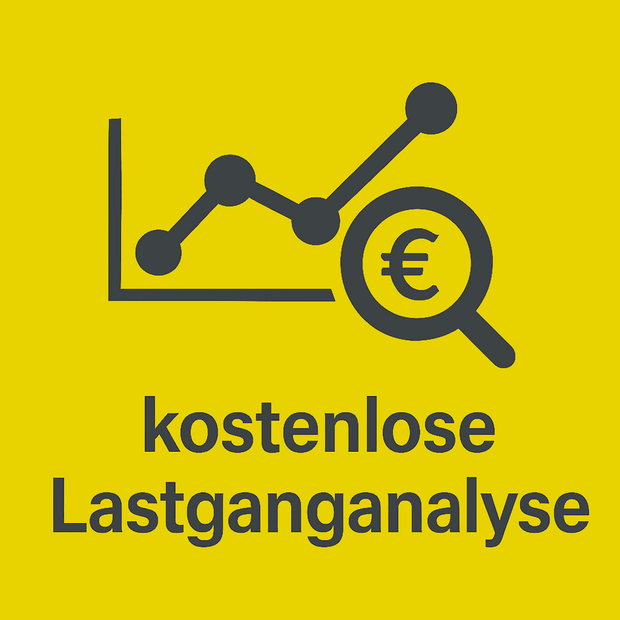 Kostenlose Lastganganalyse