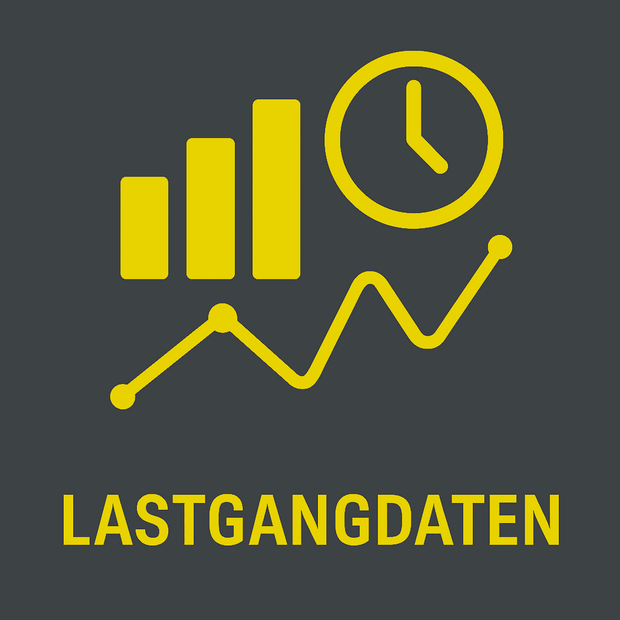 Icon Lastgangdaten