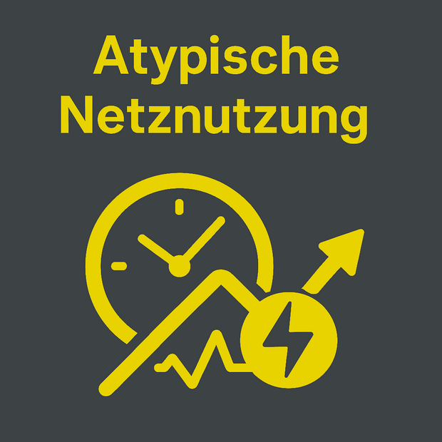 ATypische Netznutzung Sekundaer