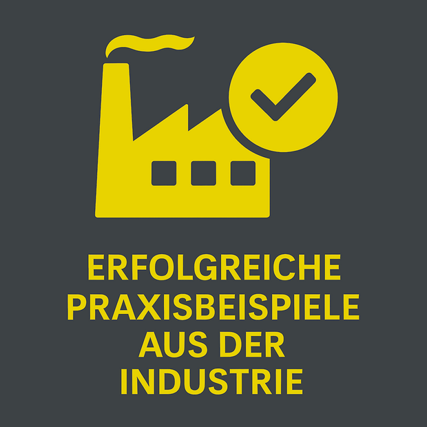 Erfolgreiche Praxisbeispiele Aus Der Industrie