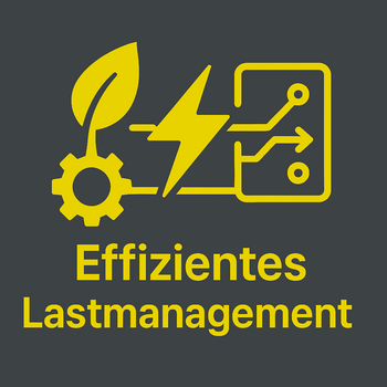 Effizientes Lastmanagement