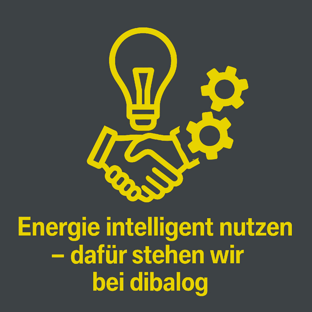 Energie Intelligent Nutzen
