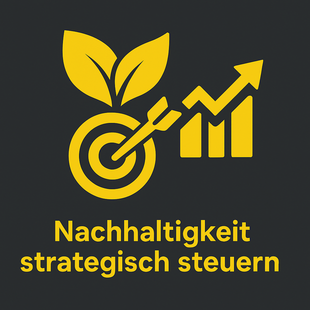 Nachhaltigkeit Strategisch Steuern 2