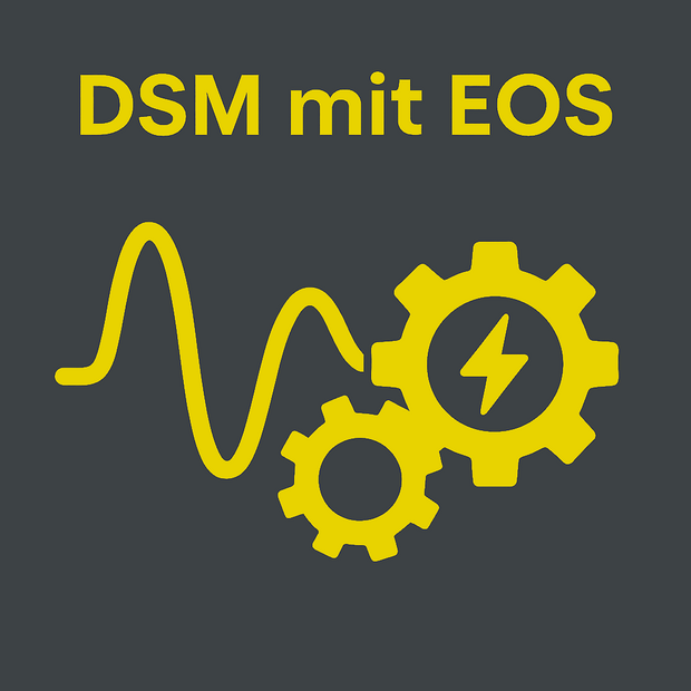 DSM Mit EOS Sekundaer 2