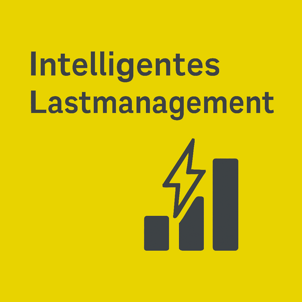 Intelligentes Lastmanagement